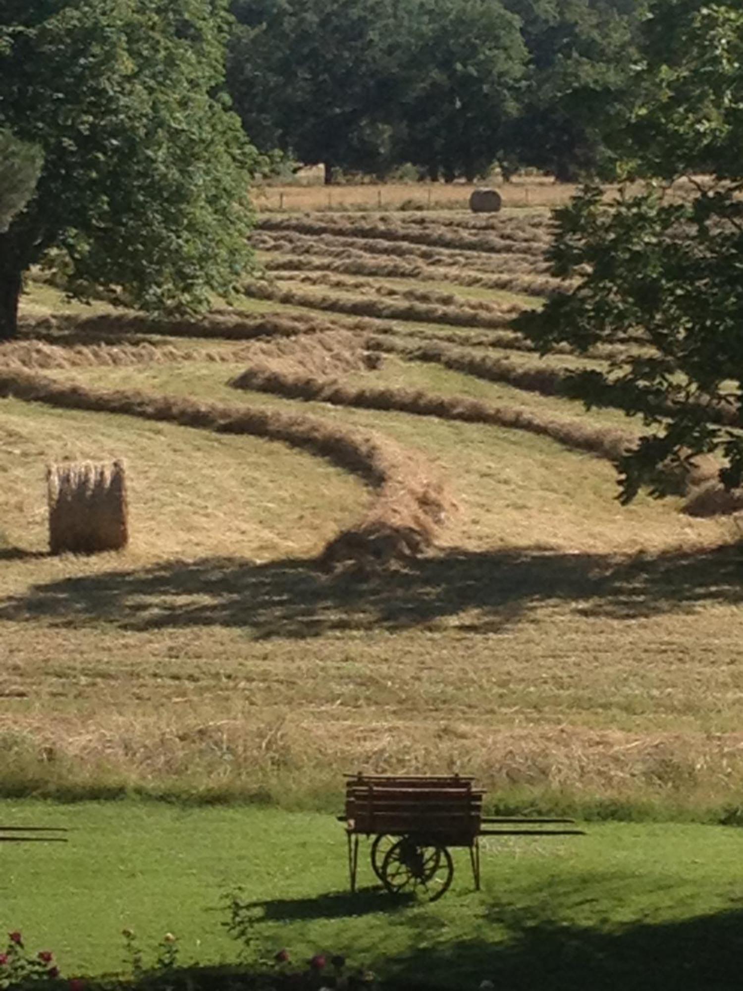Domaine Du Buc, Le Chateau Marssac-sur-Tarn Bagian luar foto
